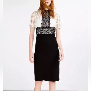 Gorgeous Zara black and white giupure lace dress